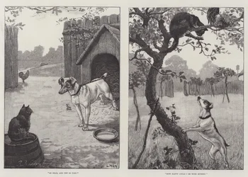 Gatti e cani